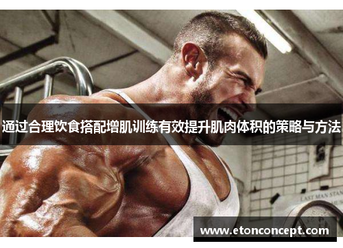 通过合理饮食搭配增肌训练有效提升肌肉体积的策略与方法