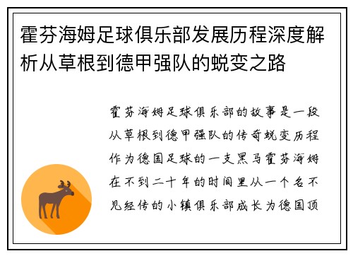 霍芬海姆足球俱乐部发展历程深度解析从草根到德甲强队的蜕变之路