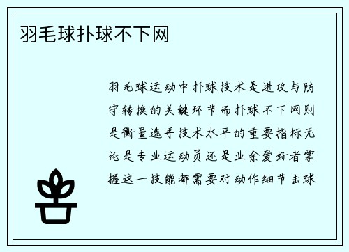 羽毛球扑球不下网